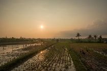 Sotis Villa Canggu Dalung  Екстериор снимка